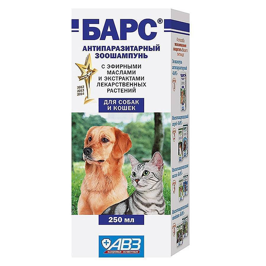Шампунь от блох для кошек и котят: какой лучше выбрать, отзывы