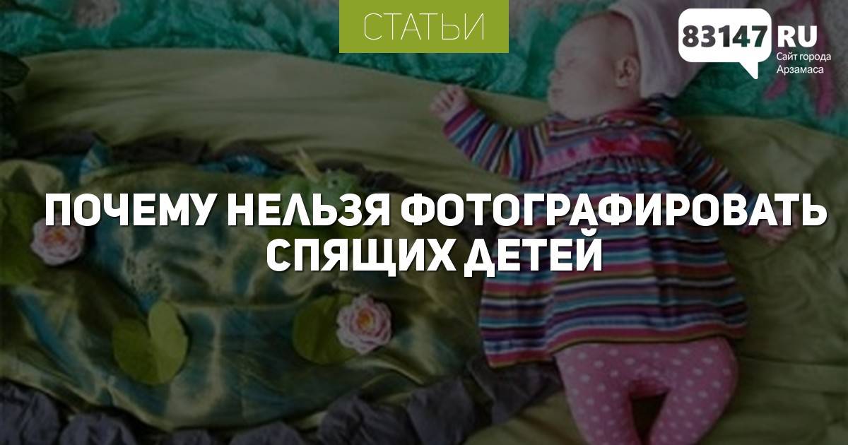 Почему нельзя фотографировать собак