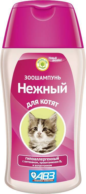 Шампунь для кошек: как выбрать и применять