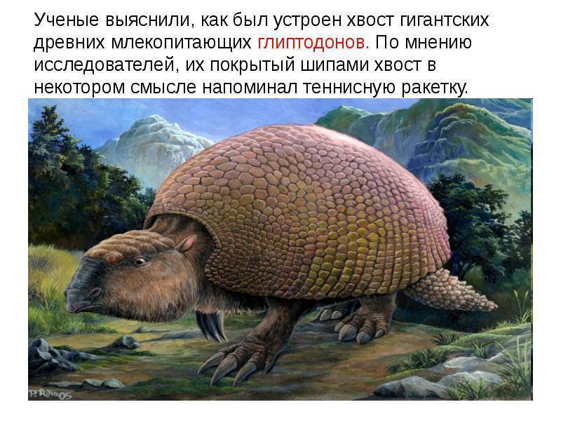 Животные-гиганты: 25 вымерших видов
