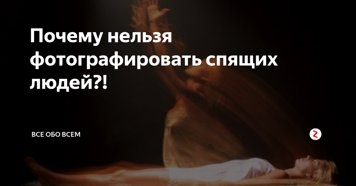Почему нельзя фотографировать собак