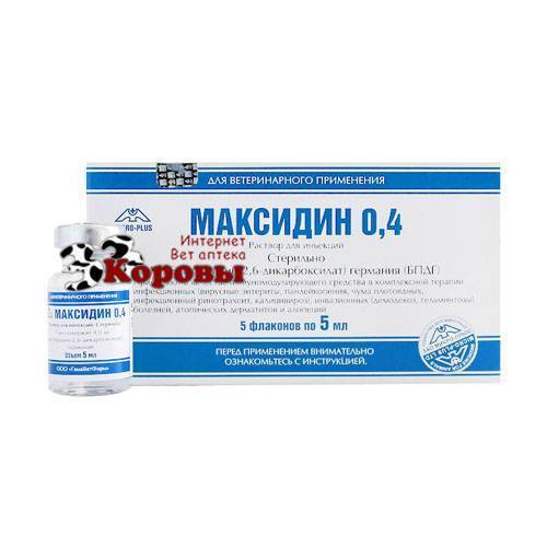 Максидин для кошек – назначение, инструкция, отзывы
