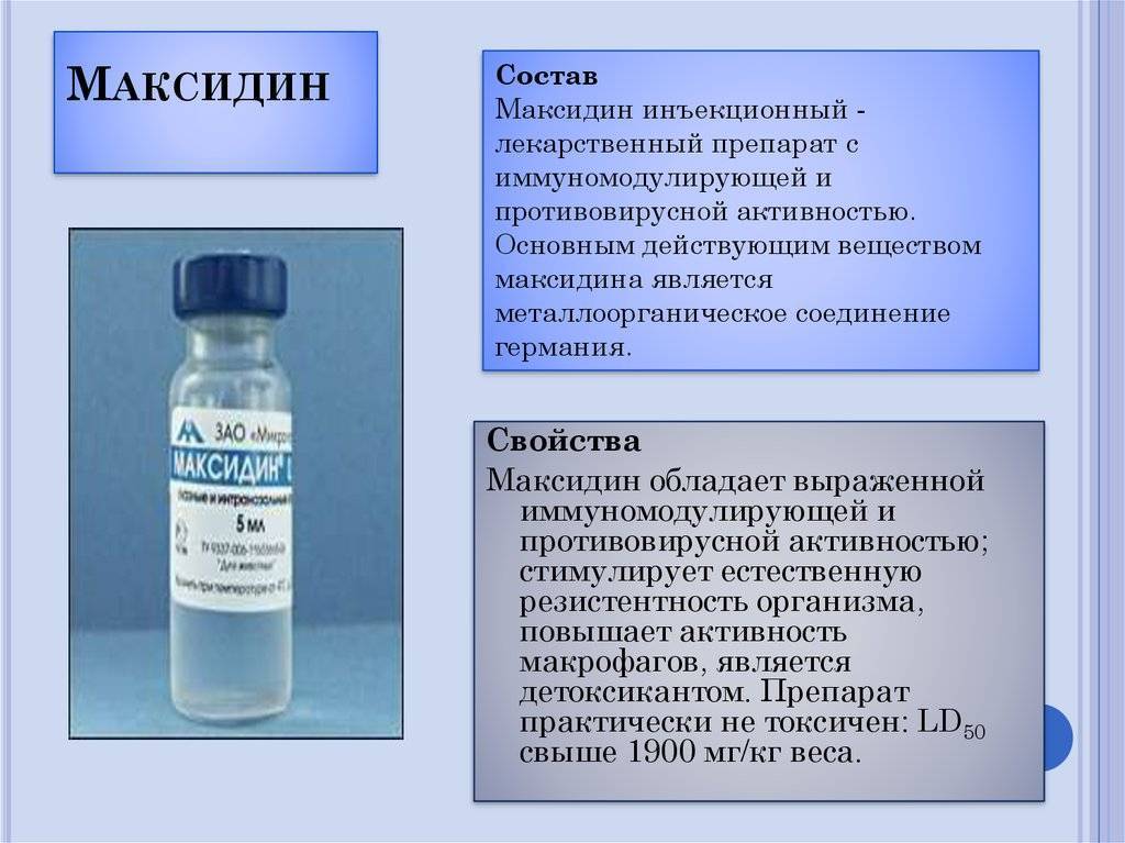 «кошачья тройка» против ринотрахеита!
