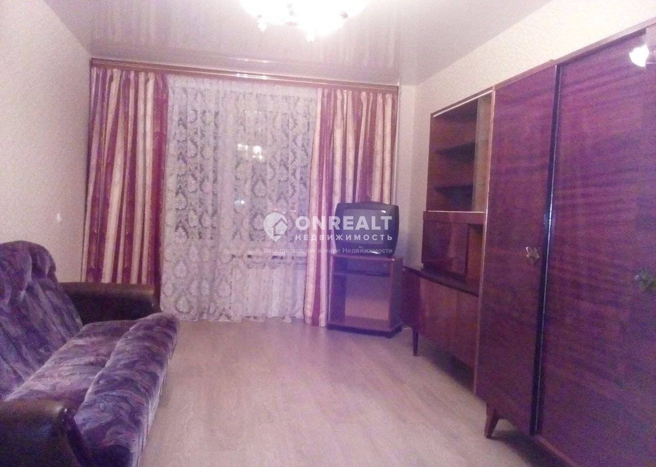 Кошка в квартире или частном доме: где лучше жить домашним животным?