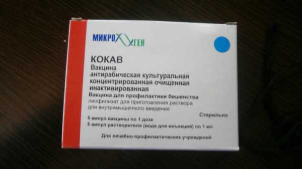 Вакцинация против бешенства