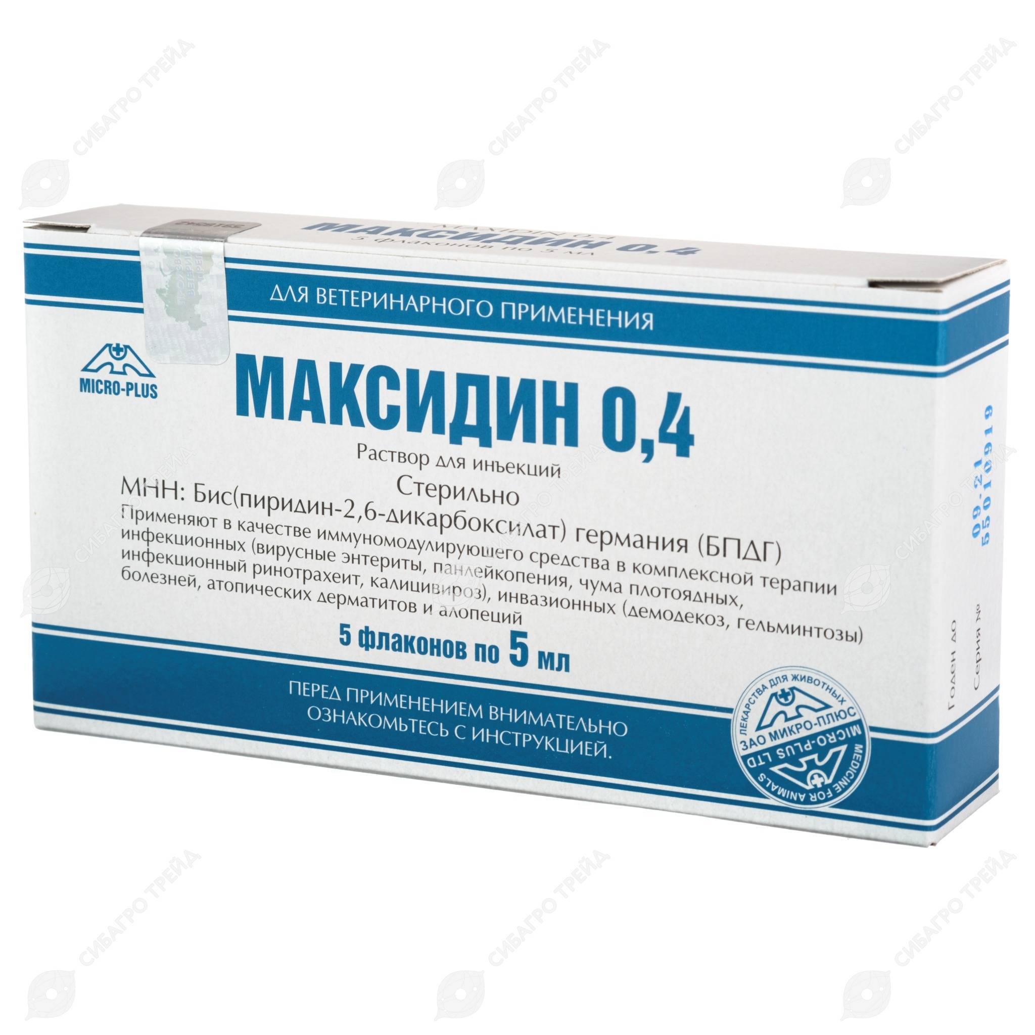 Максидин для кошек - 130 фото действия и применения препарата