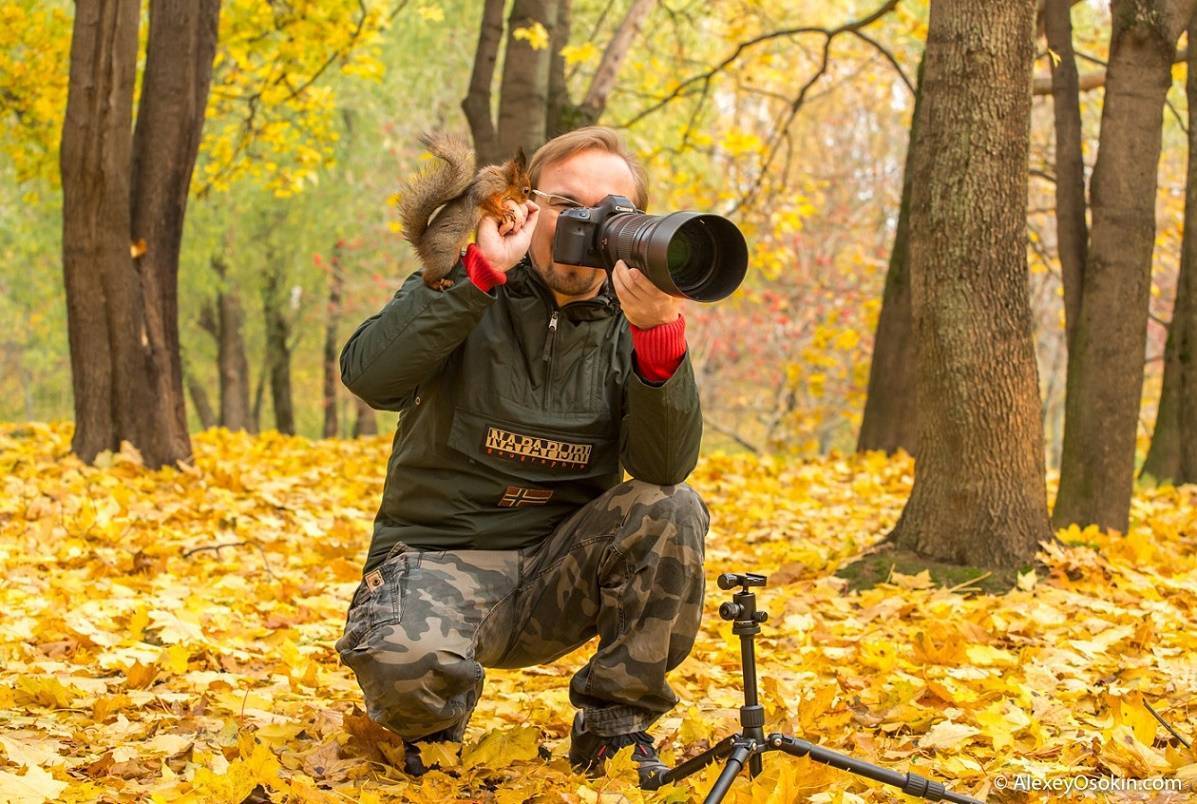 Объявлены победители конкурса фотографий national geographic 2021 - 4pda
