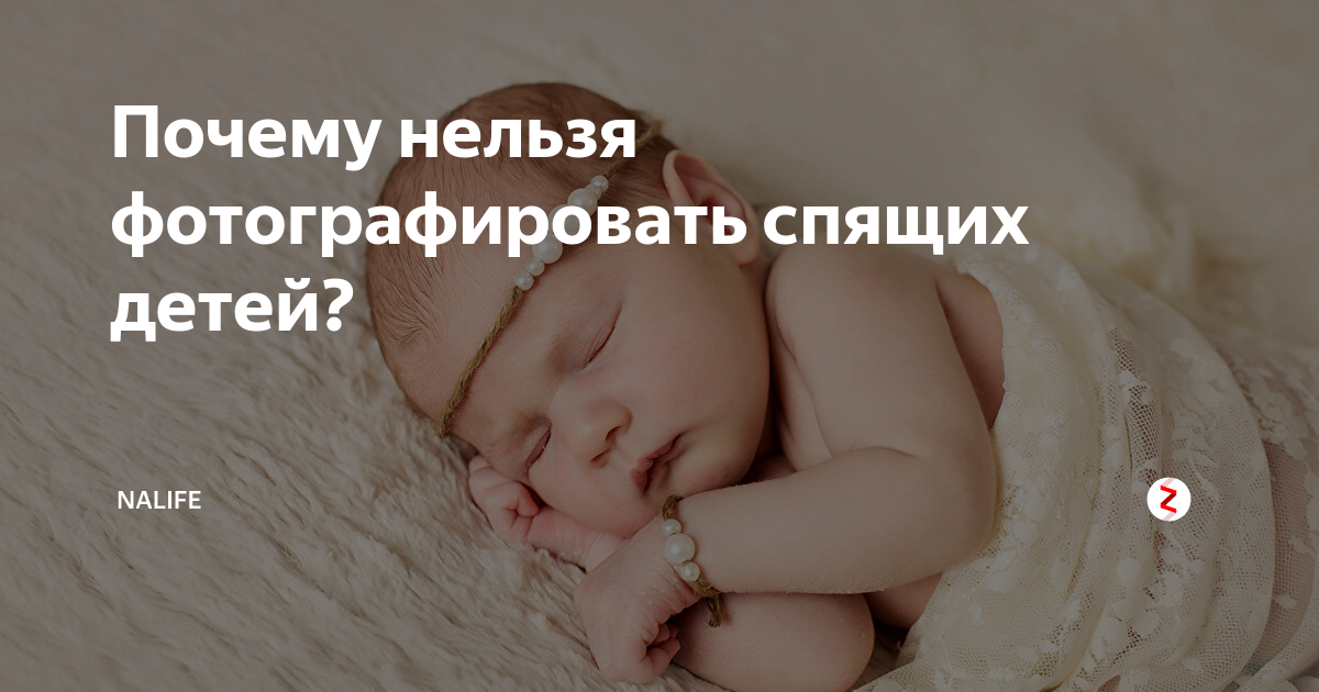 Как снимать животных: кто и зачем фотографирует собак? / съёмка для начинающих / уроки фотографии