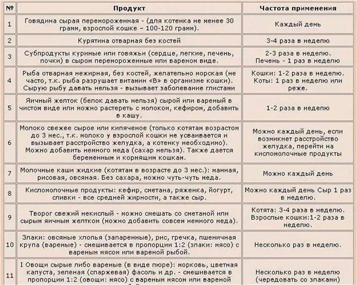 Как правильно кормить домашнего кота