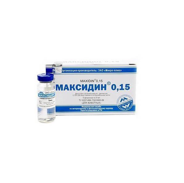Максидин для кошек - инструкция по применению препарата